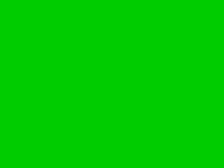 green_flag